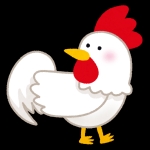 userPhoto