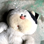 早く寝ます