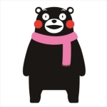 めたとるこ