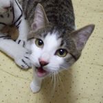 いっつん