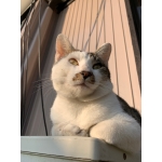 モリチャンネル