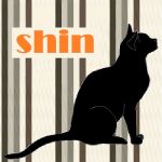 shin