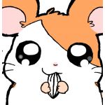 サブレ