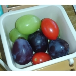 userPhoto