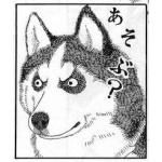 userPhoto