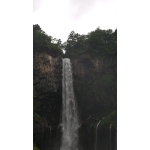 ハルト