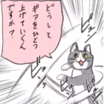 userPhoto