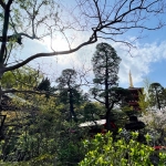 userPhoto