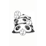 userPhoto