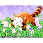 らすかる