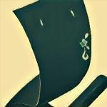ないとめ