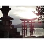 荊【ケイ】