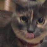 userPhoto