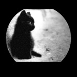 userPhoto