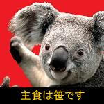 とけいが束