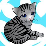 ちゃみぃ