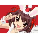 ほーちゃん