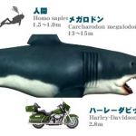 ふなむし