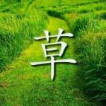 userPhoto