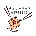 チェリーソウマ