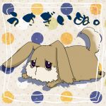 うさぎいぬ