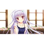 まれぇど