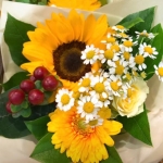 userPhoto