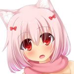 しどう