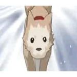 しをんむげん