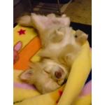 びよ