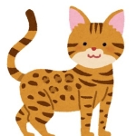 猫乃 政宗