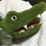 ワニ