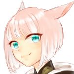 ごま
