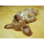 犬作くん