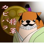 ｶﾋﾟﾊﾞﾗ将軍