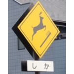 ふぇいす