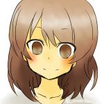 アークティック