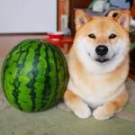 ユーザー画像