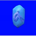 userPhoto