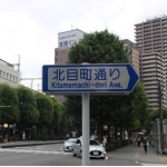 大南風2009