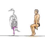 藻細工掛太郎