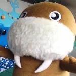 ハニワ蛙