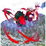 松田（ラ）