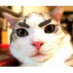 うだま