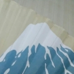 userPhoto