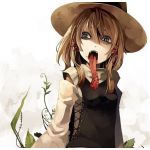 キコリ