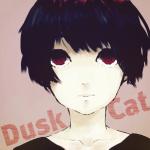 夕暮れの猫
