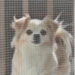userPhoto