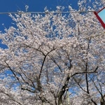 寺尾