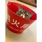 userPhoto
